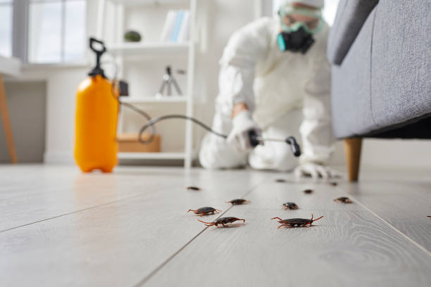 Commercial Kitchen Cockroach Control in Jefferson City